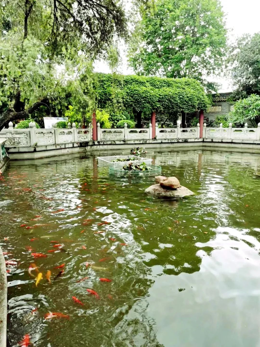 shundeplus/images/article/2023/01/26/0056a20230126155750553736.jpg 微信图片_20230126150330.jpg