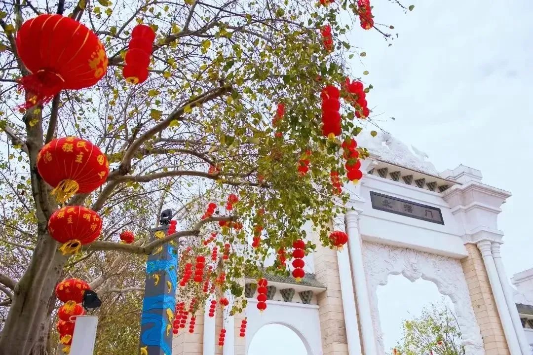 shundeplus/images/article/2023/01/26/6f43d20230126154716884631.jpg 微信图片_20230126150146.jpg