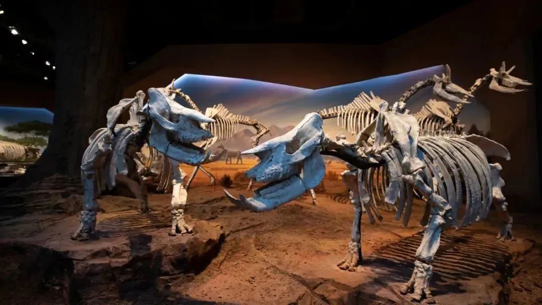 shundeplus/images/article/2023/01/26/7068c20230126153937822990.jpg 微信图片_20230126150108.jpg