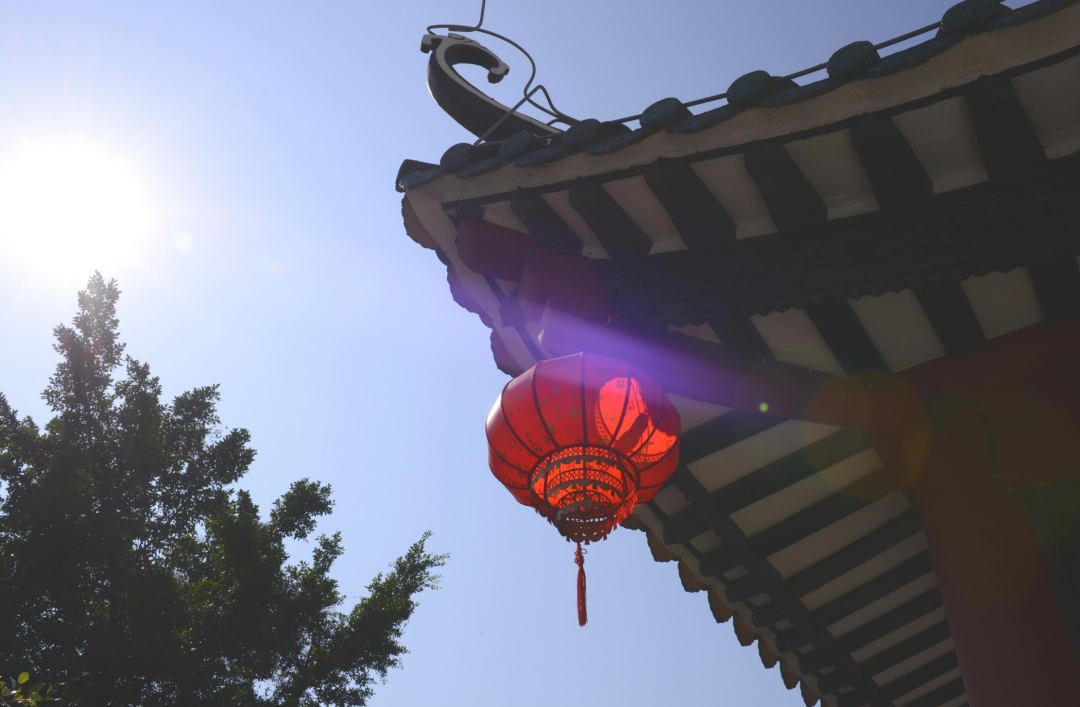 shundeplus/images/article/2023/01/26/bb97e20230126152608461169.jpg 微信图片_20230126150002.png