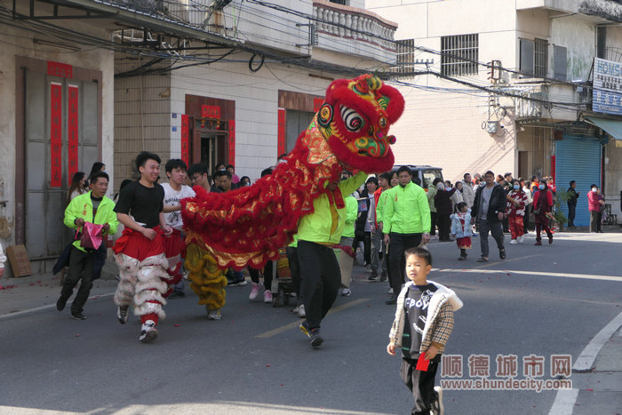 shundeplus/images/article/2023/01/28/fb43b20230128181009932030.jpg 舞狮队伍。.jpg