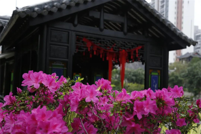 微信图片_20230129115935.jpg