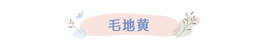 文艺小清新涂鸦文章小标题 (4).jpg