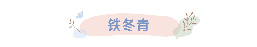 文艺小清新涂鸦文章小标题 (7).jpg