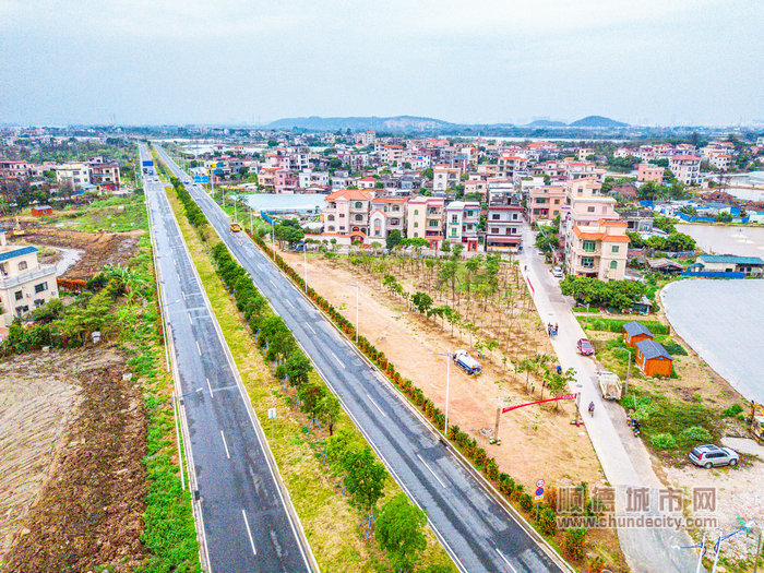 义务植树完毕后的均安新华兴仁南路。.jpg