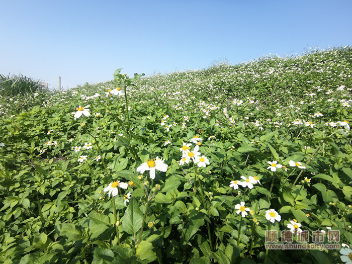 IMG_20230215_151218_副本.jpg
