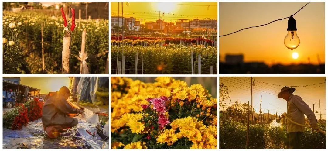 shundeplus/images/article/2023/02/18/6eb7820230218103628122223.jpg 640 (5).jpg