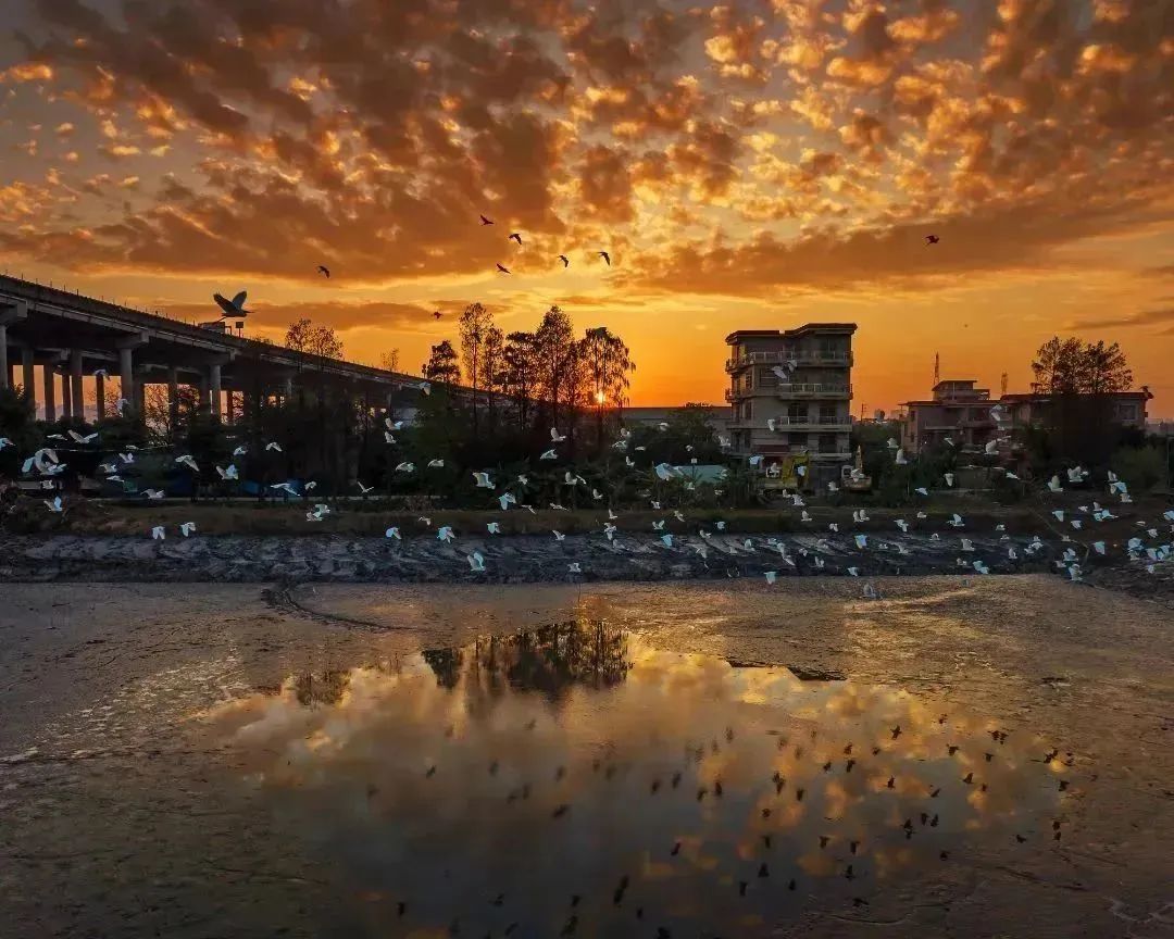 shundeplus/images/article/2023/02/18/703aa20230218103526737927.jpg 640 (1).jpg