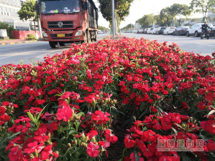 IMG_20230215_164336_副本.jpg