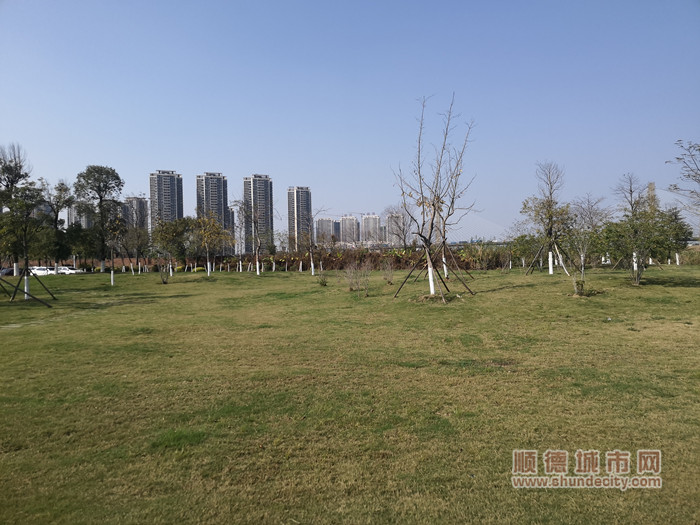 IMG_20230215_151022_副本.jpg