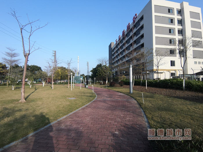 IMG_20230215_165928_副本.jpg