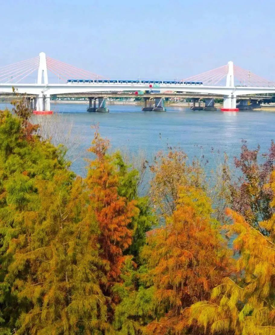 shundeplus/images/article/2023/02/18/ab0ad20230218102613674689.jpg 640.jpg