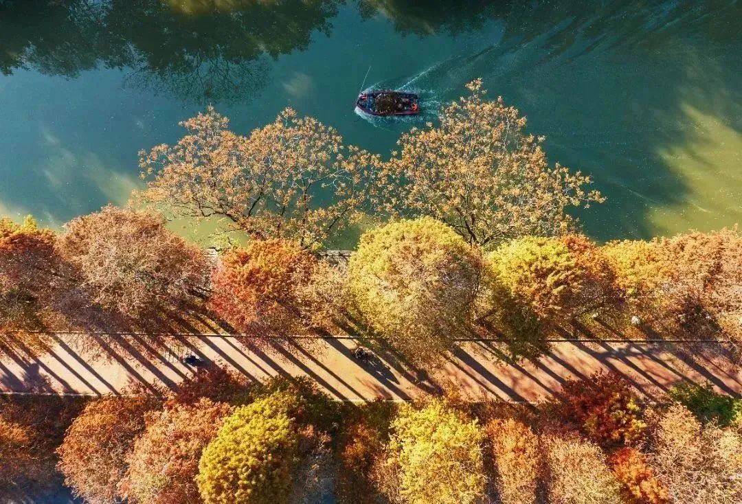 shundeplus/images/article/2023/02/18/d3c3720230218103544605474.jpg 640 (2).jpg