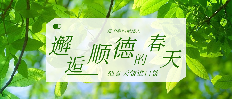 春天你好季节问候祝福公众号首图.jpg