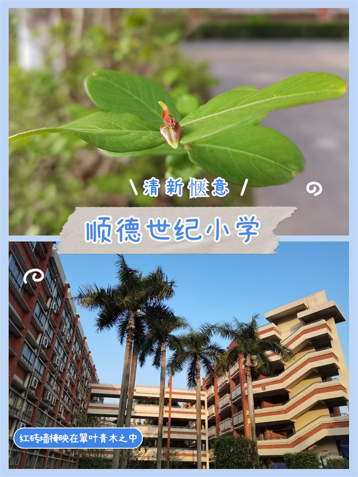 簡約時尚宮格拼圖曬照微信圖片消息配圖 (3).jpg