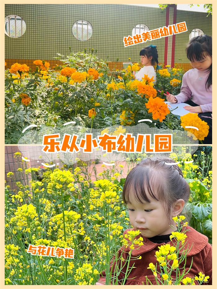 稿定計-1.jpg