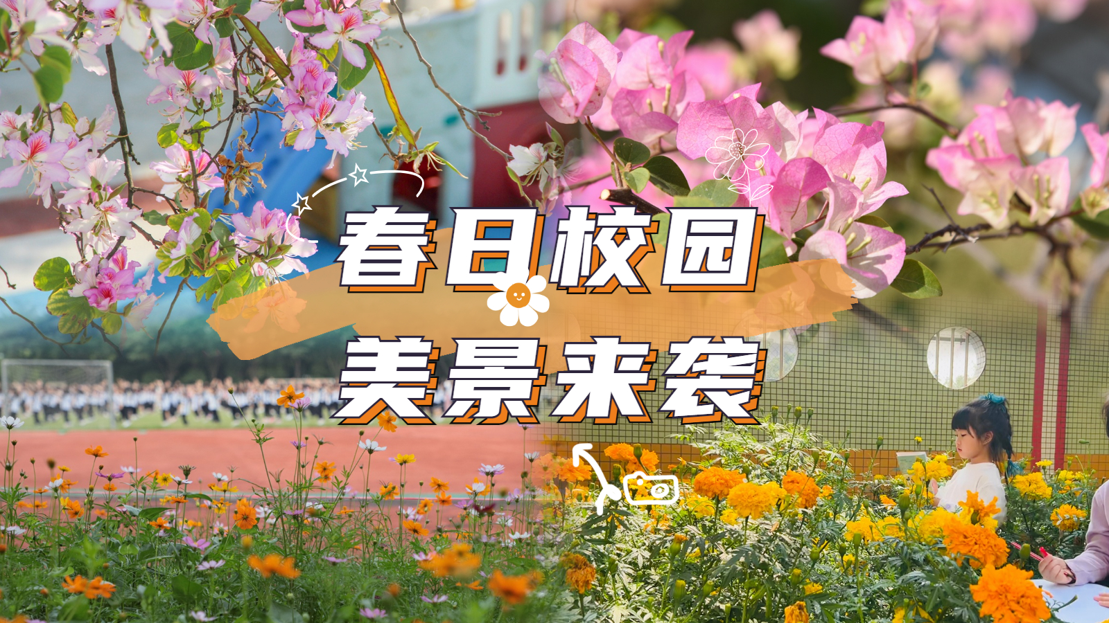 簡約時尚宮格拼圖曬照微信圖片消息配圖 (8).jpg