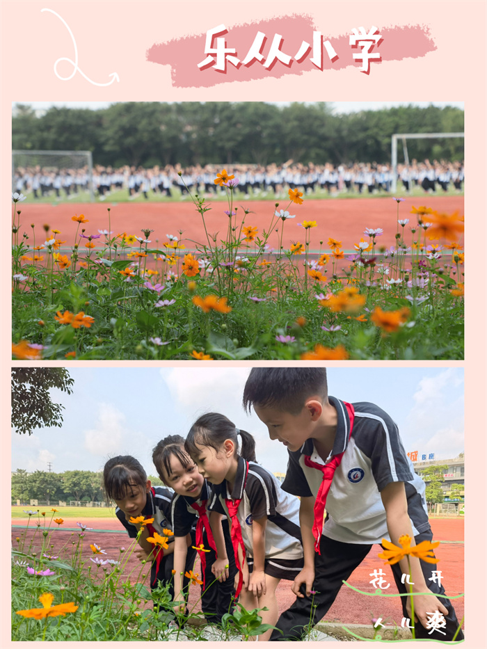 簡約時尚宮格拼圖曬照微信圖片消息配圖 (2).jpg