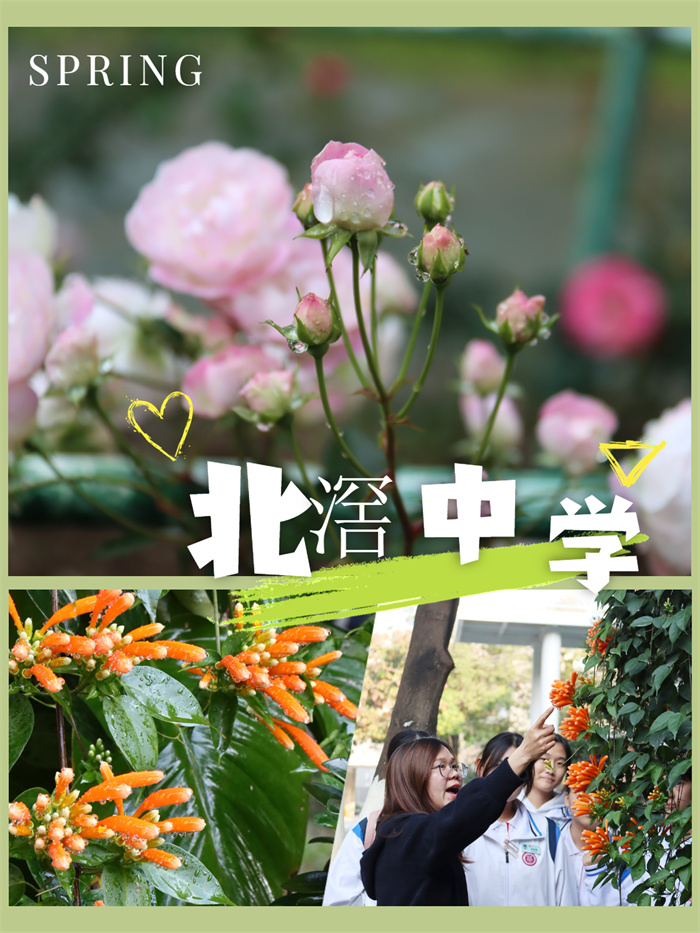 稿定設計-4.jpg