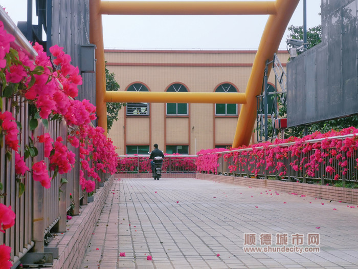 MTXX_MH20230314152548080_副本.jpg