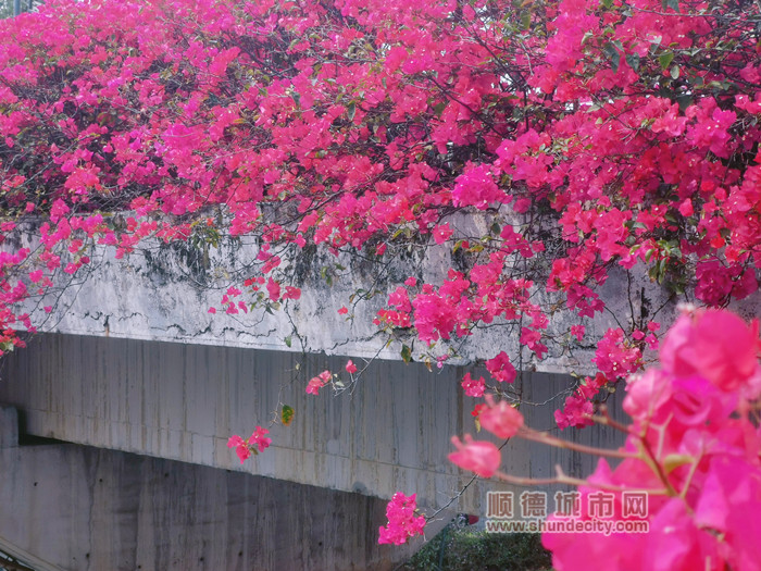 MTXX_MH20230314151941765_副本.jpg