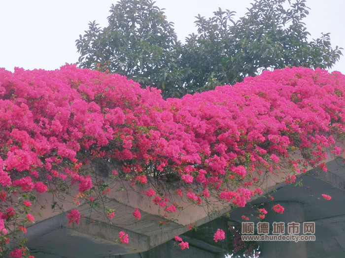 MTXX_MH20230314153241859_副本.jpg