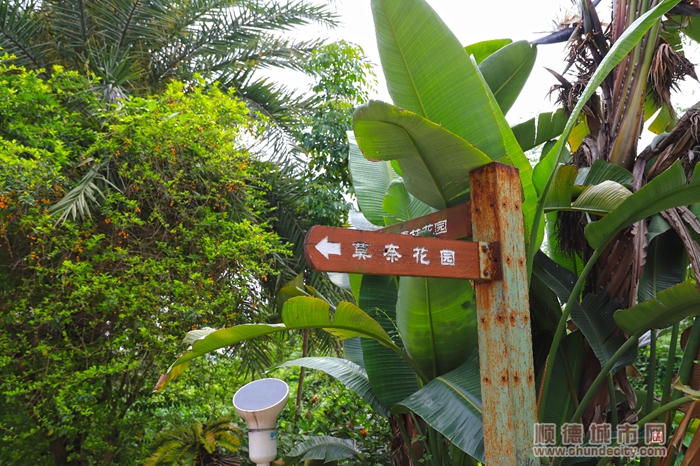 北滘莫奈公園-輝哥6.jpg