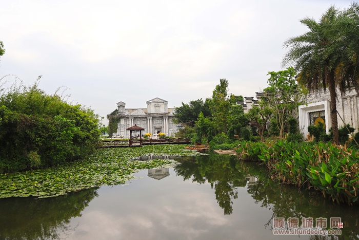 北滘大美公園東皇島-輝哥.jpg