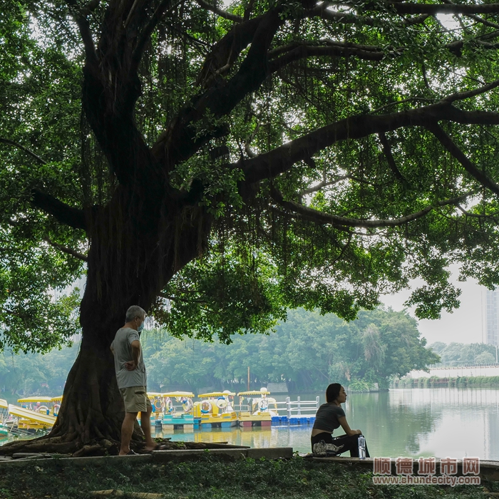 北滘公園-就不應該下凡2.jpg