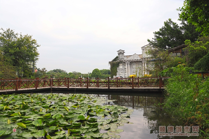 北滘大美公園東皇島-輝哥5.jpg