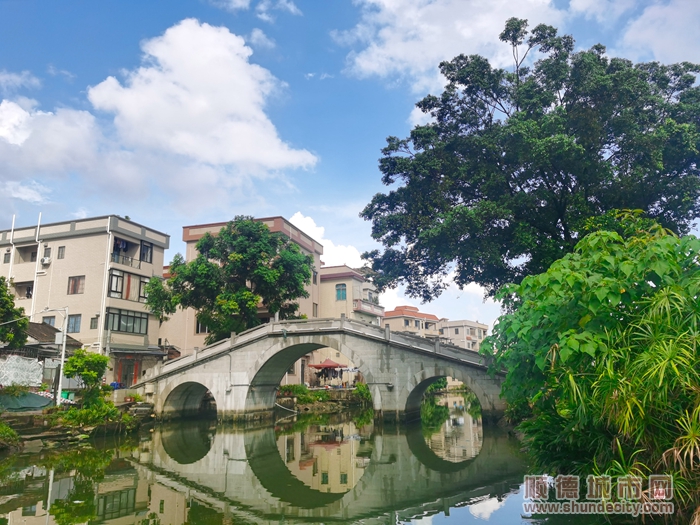 林頭上涌村-輝哥.jpg