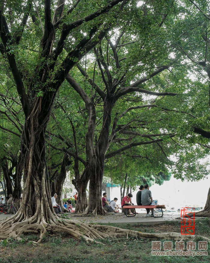 北滘公園-就不應該下凡.jpg