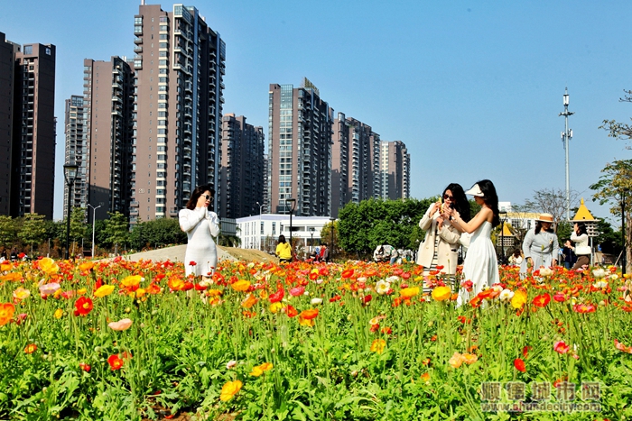 5阡陌花田-梁兆权.jpg