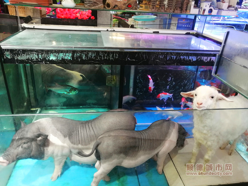 IMG_20230415_165209_副本.jpg