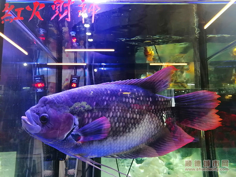 QQ图片20230416171008_副本.jpg