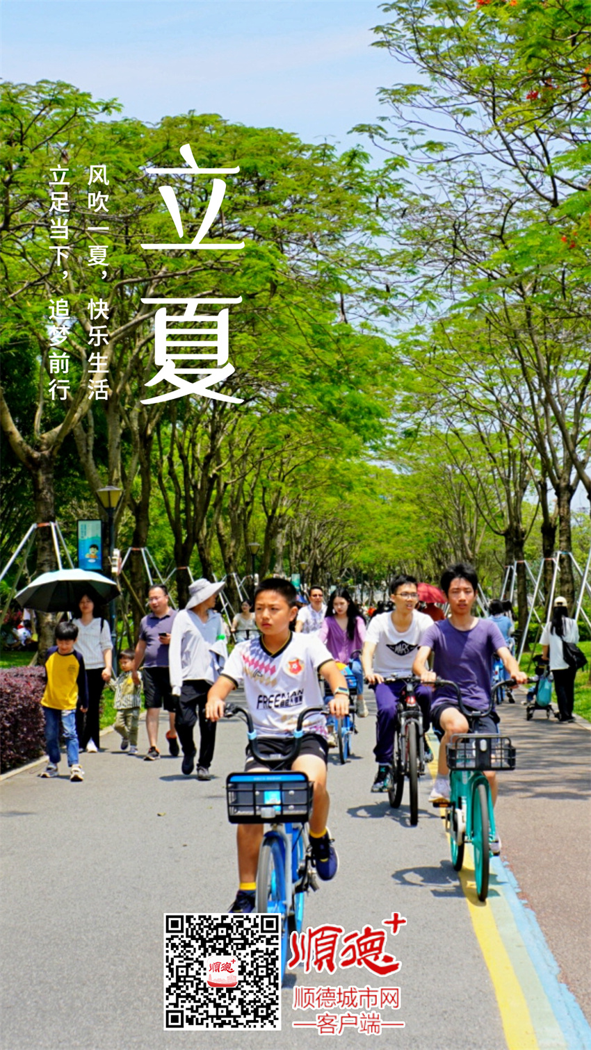 企業(yè)公司立夏節(jié)氣祝福手機海報.jpg