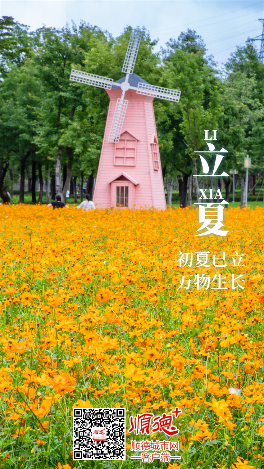 立夏節(jié)氣祝福問候手繪手機海報.jpg