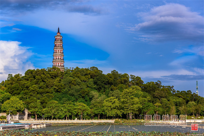 2、顺峰山公园爬山——马彦良.jpg