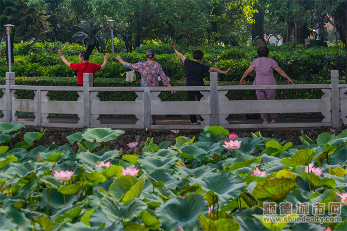 1f143202305251684999302767_副本.jpg
