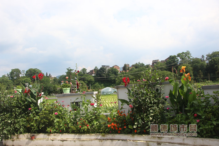 村里鲜花随处可见。_副本.jpg