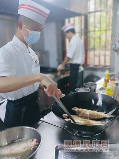 shundeplus/images/article/2023/07/05/14e4120230705004413235055.jpg 微信图片_20230704235648_副本.jpg