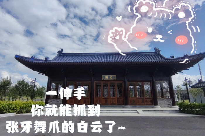 順5.jpg