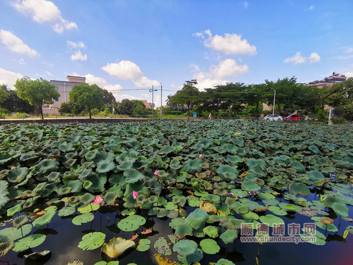 IMG_20230711_095212_副本.jpg