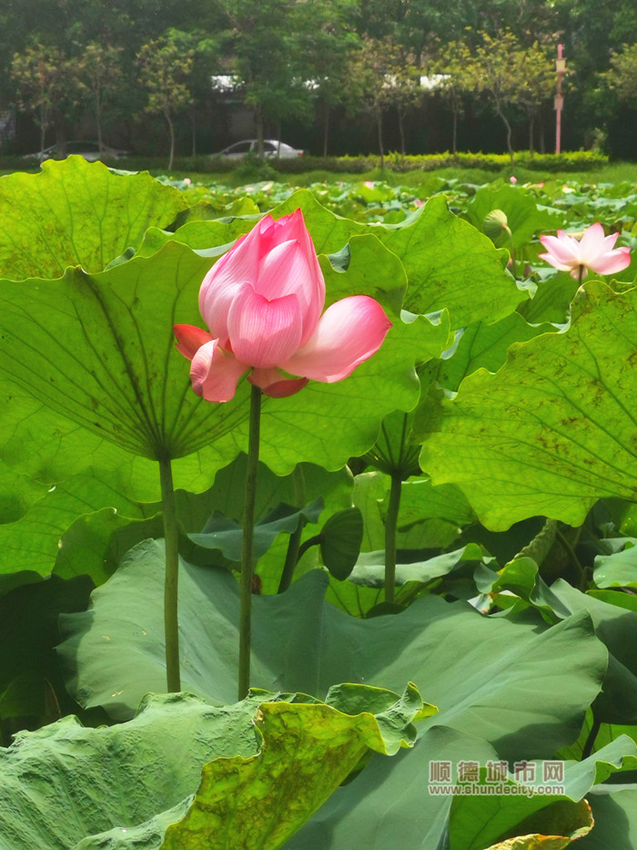 IMG_20230705_112005_副本.jpg
