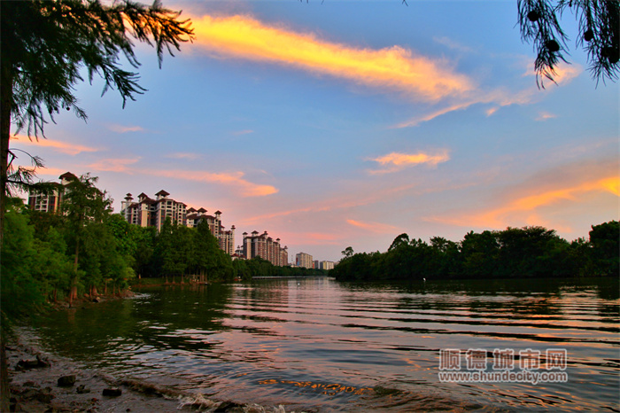 shundeplus/images/article/2023/07/14/78c5920230714190258405436.jpg 20230714 清晨 梁兆权1.jpg