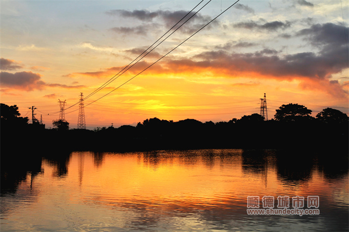 shundeplus/images/article/2023/07/14/c29b020230714190314692363.jpg 20230714 清晨 梁兆权3.jpg