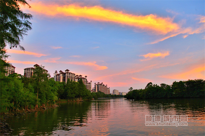 shundeplus/images/article/2023/07/14/d832220230714190304639340.jpg 20230714 清晨 梁兆权2.jpg