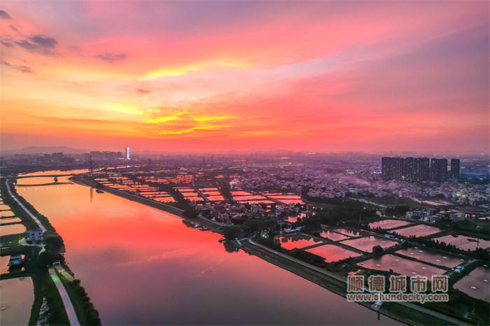 shundeplus/images/article/2023/07/14/e019b20230714185949176821.jpg 20230713 晚霞 flyindance3.jpg