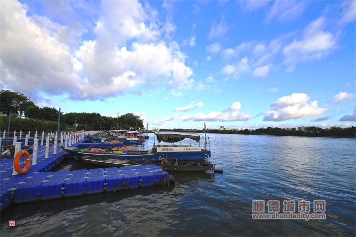 shundeplus/images/article/2023/07/14/e1b8520230714190209136779.jpg 20230713 叠石渔码头 辉哥4.jpg