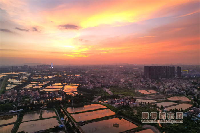 shundeplus/images/article/2023/07/14/efe762023071419015896402.jpg 20230713 晚霞 flyindance.jpg